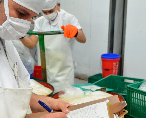 Curso de Función del Mando Intermedio en la Prevención e Riesgos Laborales